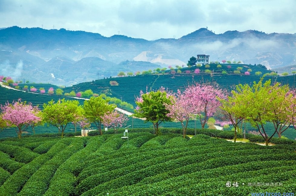 上海室內(nèi)空氣質(zhì)量檢測中心-上海CMA檢測報告
