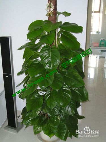 上海室內(nèi)空氣質(zhì)量檢測(cè)中心-上海CMA檢測(cè)報(bào)告